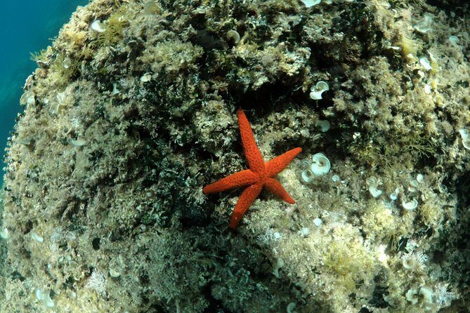 SNORKELING ADVENTURE | Pula Boat - FAQ