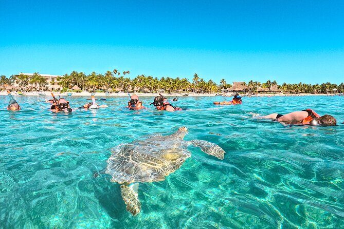 Snorkeling Adventure Swim with Sea Turtles at Akumal - Who Is This Tour Best For?