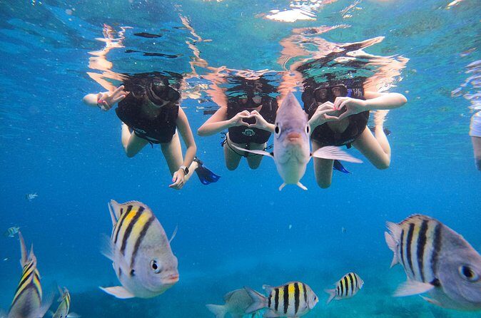 Snorkeling Adventure with Lunch and Tequila Tour - FAQ