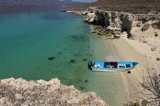 Snorkeling Adventure with Picnic from Villa del Palmar Hotel - The Itinerary Breakdown: What’s on Offer?