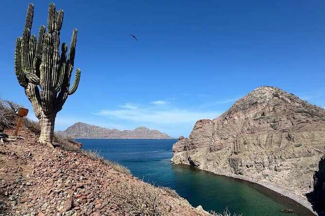 Snorkeling Adventure with Picnic from Villa del Palmar Hotel - Who Should Consider This Tour?