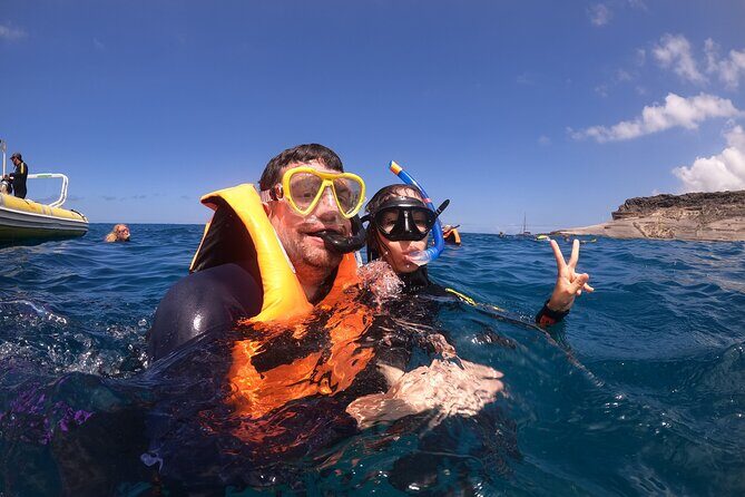 Snorkeling and Boat Tour in a Turtle Area - The Price and Its Value