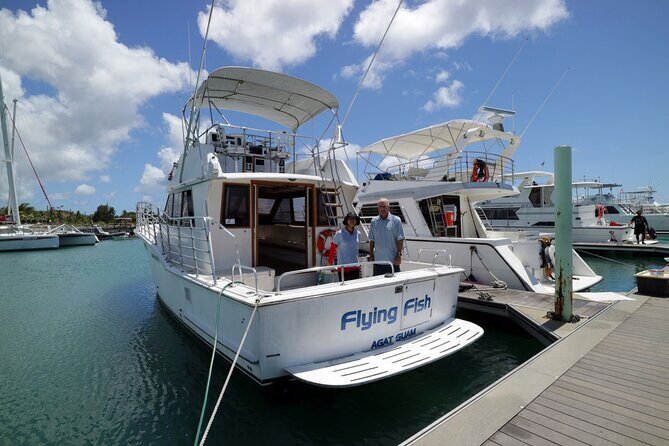 Snorkeling and Dolphin Watching with Lunch Package - Key Points