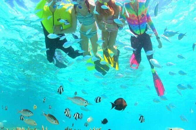 Snorkeling and Dolphin Watching with Lunch Package - FAQ