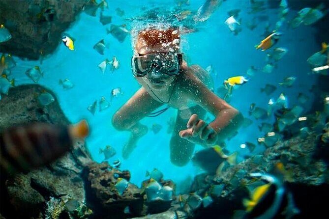 Snorkeling and Parasailing Over the Sea - ''Do It All'' Package - What You Need to Know Before Booking