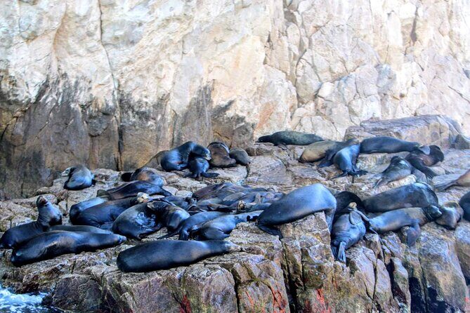 Snorkeling and whale watching Tour in Cabo - Practical Details and What They Mean for You