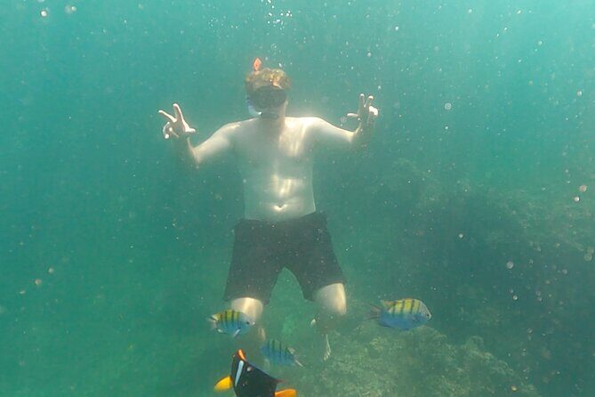 Snorkeling at Los Arcos 5 islands Hidden Beach and Cliff Jumping - FAQ