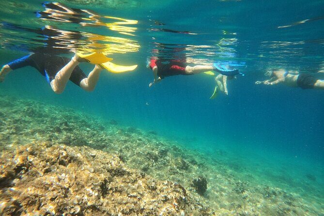 Snorkeling Boat Excursions in Nea Makri, Athens - Wrapping It Up