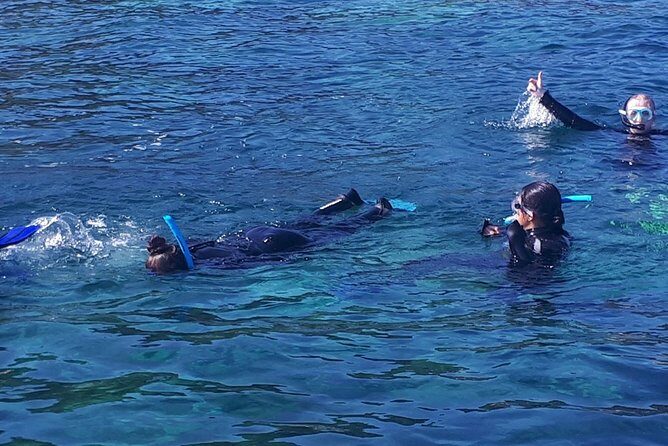 Snorkeling - Real Traveler Feedback