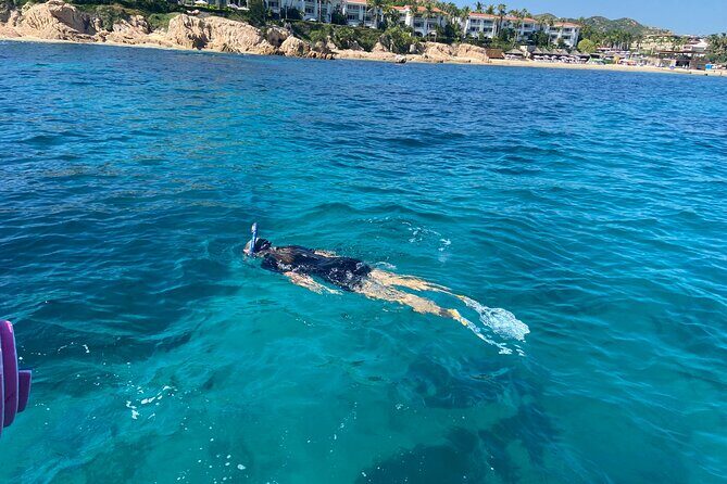 Snorkeling en San José del Cabo , Lunch , Snack , Drinks - The Experience in Detail: Pros and Cons