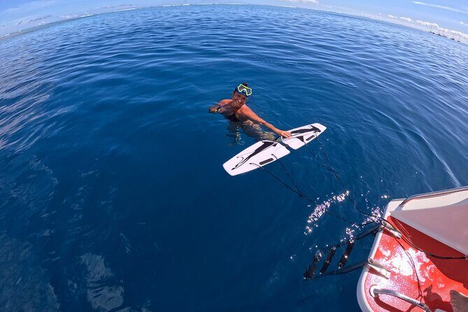 Snorkeling EN Subwing in Tahiti - How Much Does It Cost and Is It Worth It?