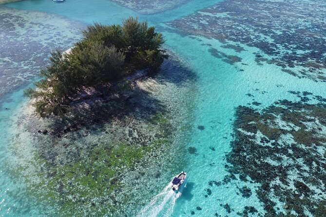 Snorkeling excursion, discovery of the lagoon, small group. - Who Is This Tour Best For?