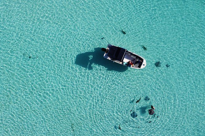 Snorkeling excursion, discovery of the lagoon, small group. - FAQ