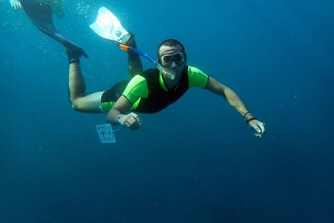 Snorkeling excursion in Isla de Tabarca - A Closer Look at the Experience