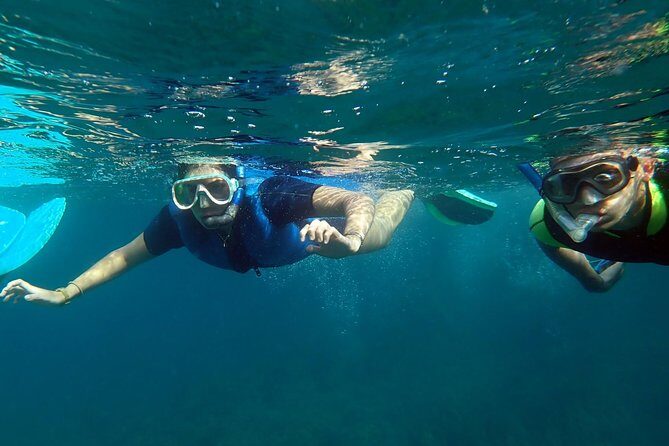 Snorkeling excursion in Isla de Tabarca - What the Reviews Say