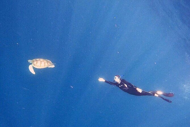 Snorkeling excursion in the Rayas and Turtles Zone - Who Will Love This Tour?