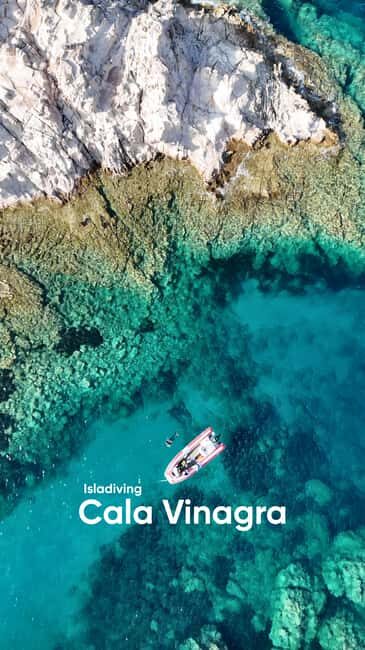 Snorkeling excursion to Carloforte, San Pietro Island - Who Will Love This Tour?