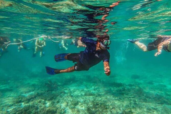 Snorkeling Experience in Cancun - Hands Underwater Museum - Key Points