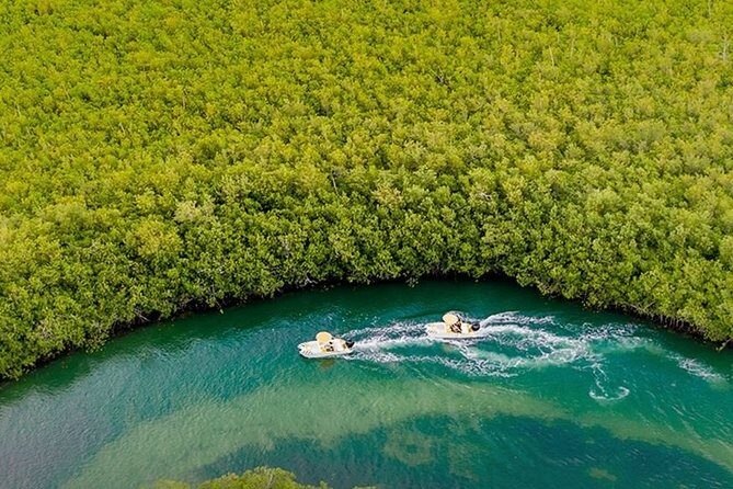 Snorkeling Experience in Cancún with Speedboat (Couple) - What You Can Expect from This Cancun Speedboat & Snorkeling Tour