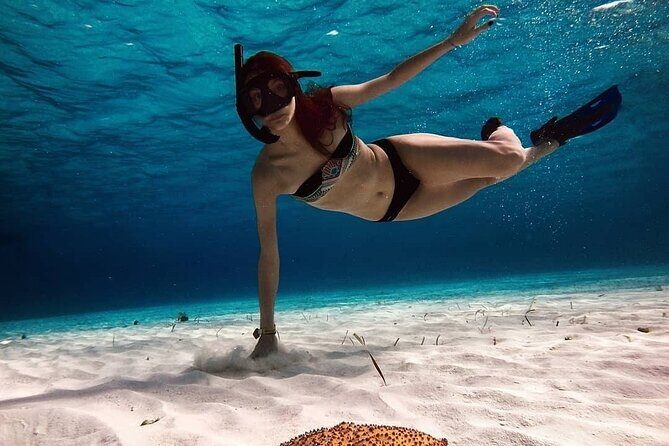 Snorkeling Experience in Cozumel with Transportation from Cancun - Setting Expectations for the Day