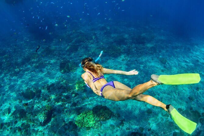 Snorkeling Experience in Underwater Museum with Transportation from Cancún - FAQs