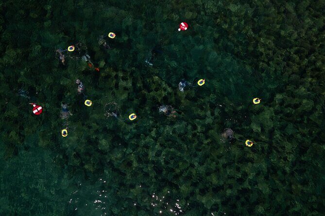 Snorkeling Experience on a NEMO Diving System - Who Should Consider This Tour?