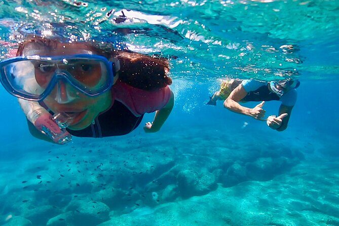 Snorkeling Experience to discover the dolphin inside you! - Key Points