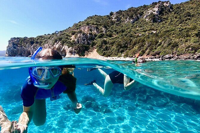 Snorkeling Experience to discover the dolphin inside you! - FAQ