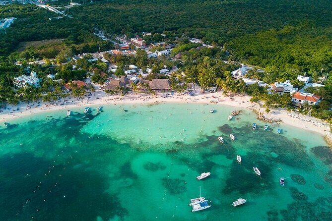 Snorkeling Experience with Turtles in Cenote in Riviera Maya - Key Points