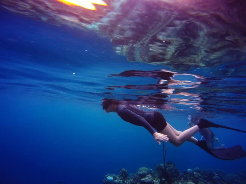 Snorkeling for beginners in crystal clear sea of Halkidiki - Why This Tour Could Be Perfect for You