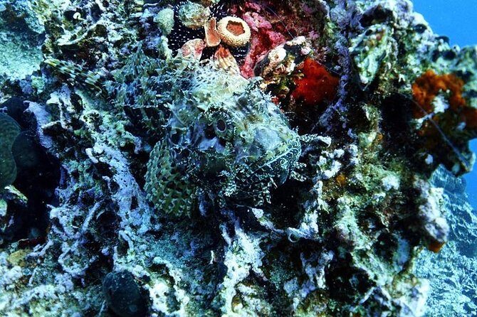 Snorkeling Fun Adventure in Athenian Riviera - FAQ