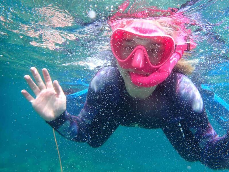 Snorkeling guided tours for tha all family! - Key Points