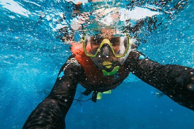 Snorkeling in Gran Canaria with Hotel Pick-up - The Real Experience from Guest Reviews