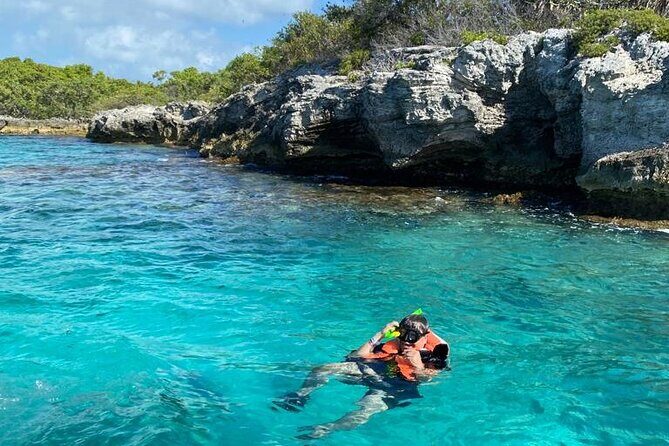 Snorkeling in Isla Mujeres and Underwater Museum - Authentic Traveler Insights