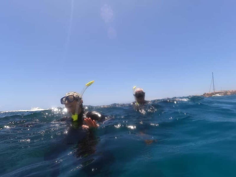 Snorkeling in tenerife south: Discover the underwater world - What’s Included and What’s Not