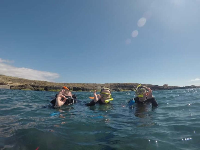 Snorkeling in tenerife south: Discover the underwater world - How the Experience Feels in Practice