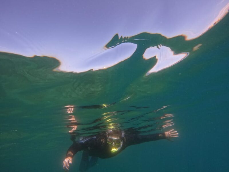 Snorkeling in tenerife south: Discover the underwater world - Who Should Consider This Tour?