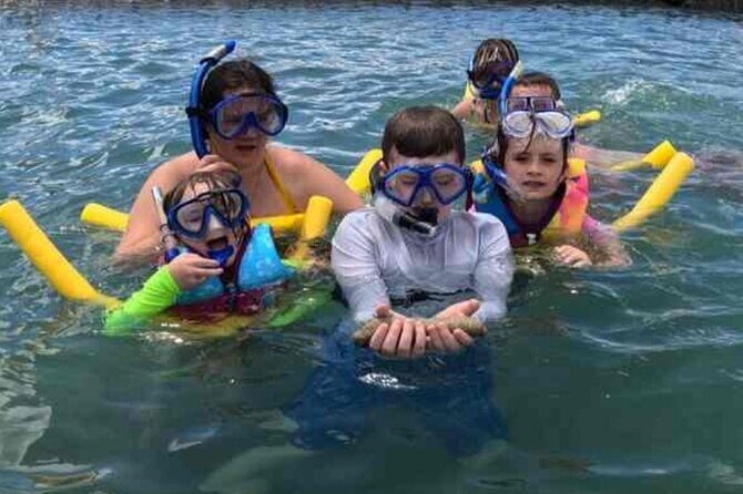 Snorkeling in Waikiki Many Fish All Levels Free Video & Pics! - Who Would Love This?