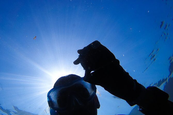 Snorkeling - Marine Park Discovery - Key Points