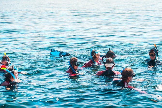 Snorkeling - Marine Park Discovery - The Sum Up