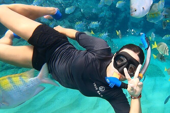 Snorkeling On Chilean Beach Transportation And Drinks Included - Exploring the Snorkeling Experience at Chilean Beach in Cabo San Lucas