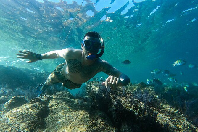 Snorkeling On Chilean Beach Transportation And Drinks Included - FAQ