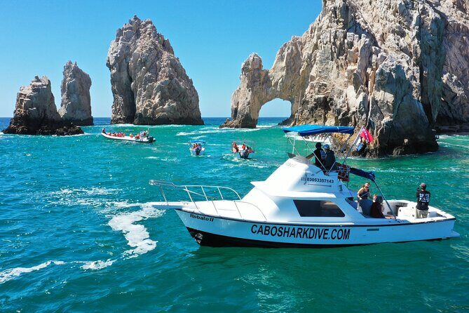 Snorkeling or Swimming with Sharks in Cabo San Lucas - Who Should Consider This Tour?