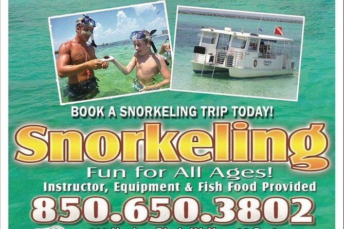 Snorkeling, Shelling & Eco Excursion - What Is Included and How Does It Work?