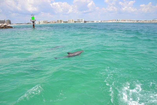 Snorkeling, Shelling & Eco Excursion - FAQ