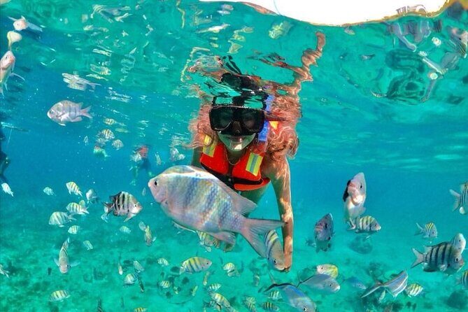 Snorkeling tour Express in Cancun with Certified Guide - What to Expect from the Tour