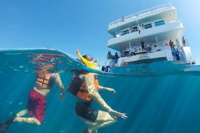 Snorkeling tour in Cabo San Lucas - A Deep Dive into the Experience
