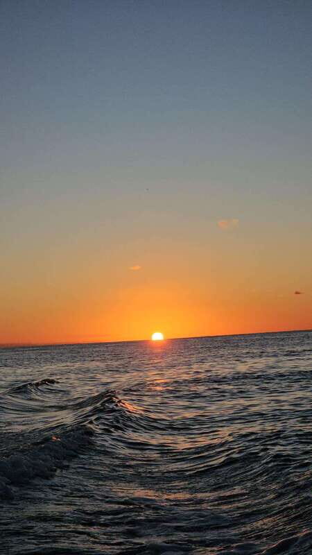 Snorkeling Tour in COZUMEL - Final Thoughts: Is This Cozumel Snorkeling Tour Right for You?