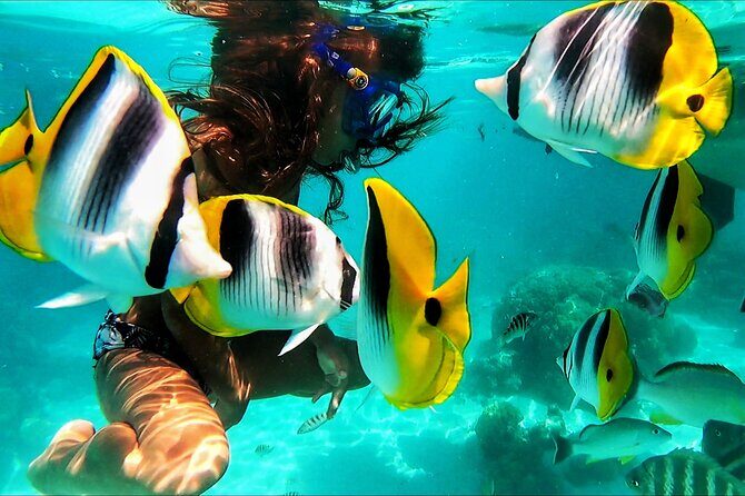 Snorkeling Tour in Moorea Aquatic Adventure Half Day - Practical Tips for Booking and Enjoying