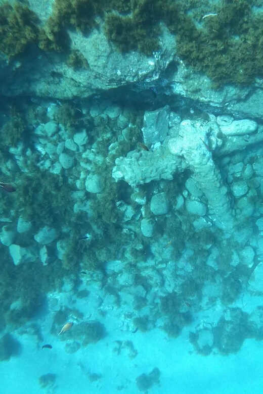 Snorkeling Tour- Vila Franca do Campo Islet - Key Points